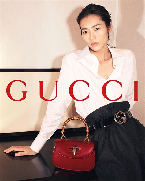 liu wen Gucci bag